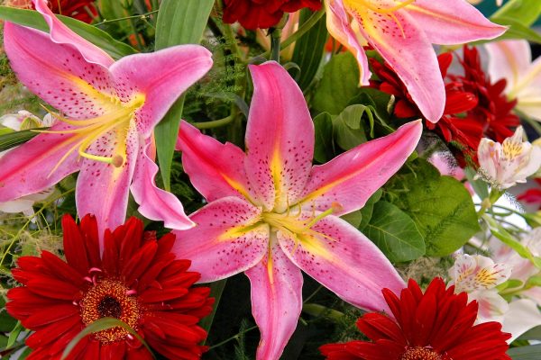 Tischdeko mit roten Lilien