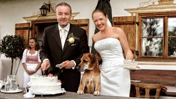 Hochzeitsfoto mit Hund und Hochzeitstorte